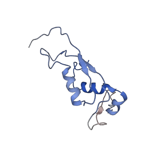 6934_5zlu_g_v1-3
Ribosome Structure bound to ABC-F protein.