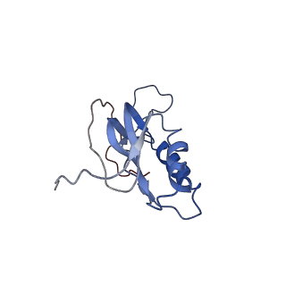 6934_5zlu_j_v1-3
Ribosome Structure bound to ABC-F protein.