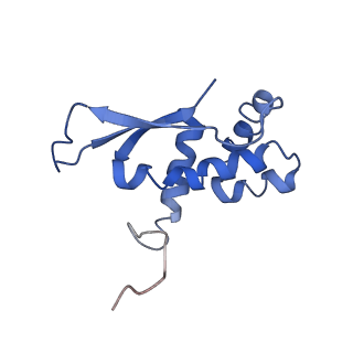 6934_5zlu_k_v1-3
Ribosome Structure bound to ABC-F protein.