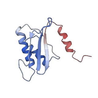 6934_5zlu_l_v1-3
Ribosome Structure bound to ABC-F protein.