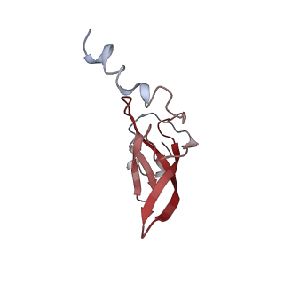 6934_5zlu_m_v1-3
Ribosome Structure bound to ABC-F protein.