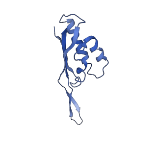 6934_5zlu_p_v1-3
Ribosome Structure bound to ABC-F protein.