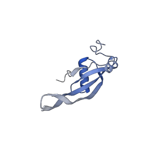 6934_5zlu_q_v1-3
Ribosome Structure bound to ABC-F protein.