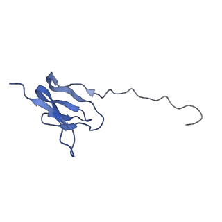 6934_5zlu_t_v1-3
Ribosome Structure bound to ABC-F protein.