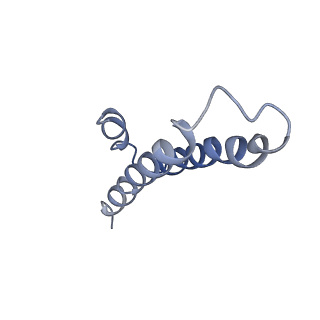 6934_5zlu_u_v1-3
Ribosome Structure bound to ABC-F protein.