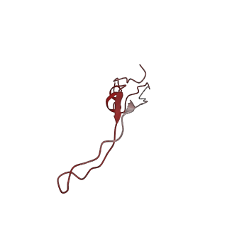6934_5zlu_w_v1-3
Ribosome Structure bound to ABC-F protein.