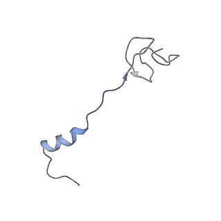 6934_5zlu_x_v1-3
Ribosome Structure bound to ABC-F protein.