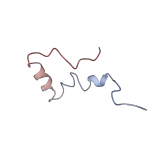 6934_5zlu_z_v1-3
Ribosome Structure bound to ABC-F protein.