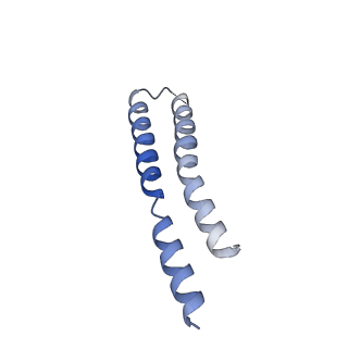 0668_6zmr_N_v1-2
Porcine ATP synthase Fo domain