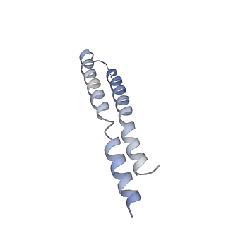 0668_6zmr_O_v1-2
Porcine ATP synthase Fo domain