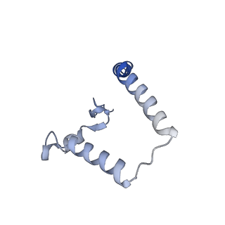 0668_6zmr_b_v1-2
Porcine ATP synthase Fo domain