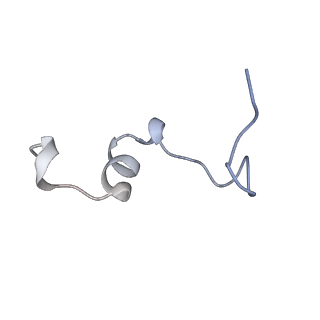 0668_6zmr_d_v1-2
Porcine ATP synthase Fo domain