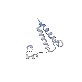 0668_6zmr_f_v1-2
Porcine ATP synthase Fo domain