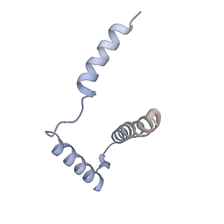 0668_6zmr_g_v1-2
Porcine ATP synthase Fo domain