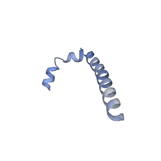 0668_6zmr_j_v1-2
Porcine ATP synthase Fo domain