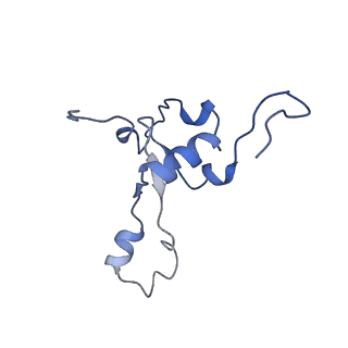 11278_6zm5_3_v2-0
Human mitochondrial ribosome in complex with OXA1L, mRNA, A/A tRNA, P/P tRNA and nascent polypeptide