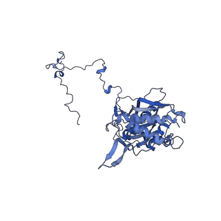 11278_6zm5_5_v1-1
Human mitochondrial ribosome in complex with OXA1L, mRNA, A/A tRNA, P/P tRNA and nascent polypeptide