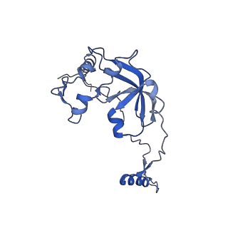 11278_6zm5_A0_v1-1
Human mitochondrial ribosome in complex with OXA1L, mRNA, A/A tRNA, P/P tRNA and nascent polypeptide