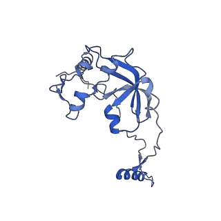 11278_6zm5_A0_v2-0
Human mitochondrial ribosome in complex with OXA1L, mRNA, A/A tRNA, P/P tRNA and nascent polypeptide
