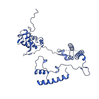 11278_6zm5_AG_v1-1
Human mitochondrial ribosome in complex with OXA1L, mRNA, A/A tRNA, P/P tRNA and nascent polypeptide