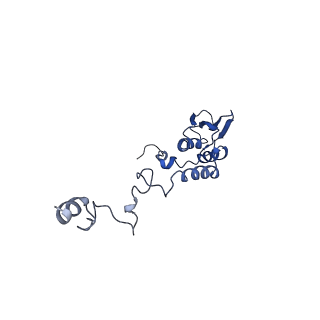 11278_6zm5_AT_v1-1
Human mitochondrial ribosome in complex with OXA1L, mRNA, A/A tRNA, P/P tRNA and nascent polypeptide