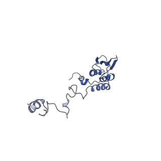 11278_6zm5_AT_v2-0
Human mitochondrial ribosome in complex with OXA1L, mRNA, A/A tRNA, P/P tRNA and nascent polypeptide