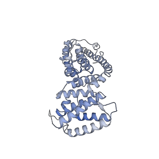 11278_6zm5_AV_v1-1
Human mitochondrial ribosome in complex with OXA1L, mRNA, A/A tRNA, P/P tRNA and nascent polypeptide