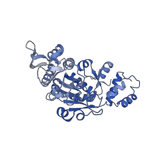 11278_6zm5_AX_v1-1
Human mitochondrial ribosome in complex with OXA1L, mRNA, A/A tRNA, P/P tRNA and nascent polypeptide