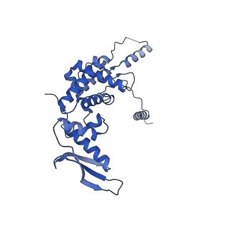 11278_6zm5_c_v1-1
Human mitochondrial ribosome in complex with OXA1L, mRNA, A/A tRNA, P/P tRNA and nascent polypeptide