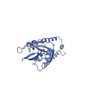 11278_6zm5_e_v1-1
Human mitochondrial ribosome in complex with OXA1L, mRNA, A/A tRNA, P/P tRNA and nascent polypeptide