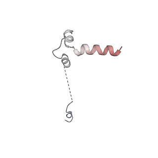 11278_6zm5_u_v1-1
Human mitochondrial ribosome in complex with OXA1L, mRNA, A/A tRNA, P/P tRNA and nascent polypeptide