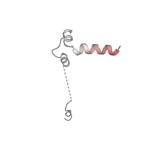 11278_6zm5_u_v2-0
Human mitochondrial ribosome in complex with OXA1L, mRNA, A/A tRNA, P/P tRNA and nascent polypeptide