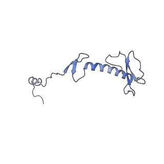 11279_6zm6_0_v1-1
Human mitochondrial ribosome in complex with mRNA, A/A tRNA and P/P tRNA