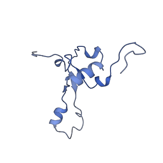 11279_6zm6_3_v1-1
Human mitochondrial ribosome in complex with mRNA, A/A tRNA and P/P tRNA