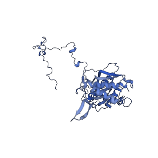 11279_6zm6_5_v1-1
Human mitochondrial ribosome in complex with mRNA, A/A tRNA and P/P tRNA