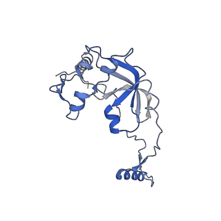 11279_6zm6_A0_v2-0
Human mitochondrial ribosome in complex with mRNA, A/A tRNA and P/P tRNA