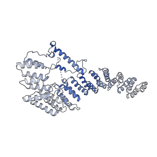 11279_6zm6_A4_v2-0
Human mitochondrial ribosome in complex with mRNA, A/A tRNA and P/P tRNA