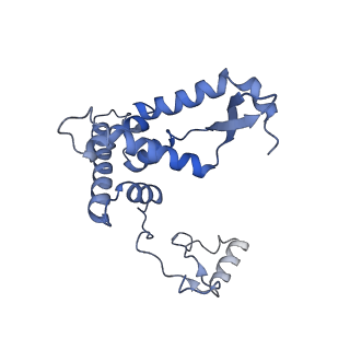 11279_6zm6_AF_v1-1
Human mitochondrial ribosome in complex with mRNA, A/A tRNA and P/P tRNA