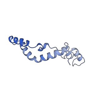 11279_6zm6_AK_v1-1
Human mitochondrial ribosome in complex with mRNA, A/A tRNA and P/P tRNA