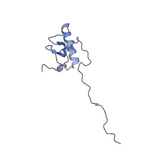 11279_6zm6_AP_v1-1
Human mitochondrial ribosome in complex with mRNA, A/A tRNA and P/P tRNA