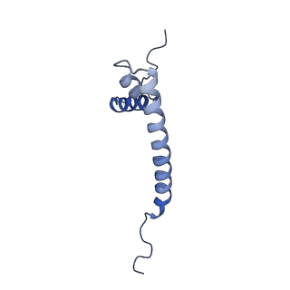 11279_6zm6_AQ_v1-1
Human mitochondrial ribosome in complex with mRNA, A/A tRNA and P/P tRNA