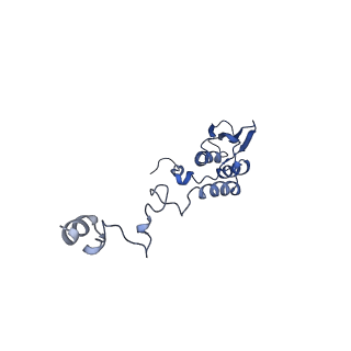11279_6zm6_AT_v2-0
Human mitochondrial ribosome in complex with mRNA, A/A tRNA and P/P tRNA