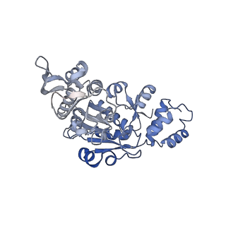 11279_6zm6_AX_v1-1
Human mitochondrial ribosome in complex with mRNA, A/A tRNA and P/P tRNA