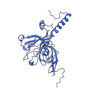 11279_6zm6_E_v1-1
Human mitochondrial ribosome in complex with mRNA, A/A tRNA and P/P tRNA