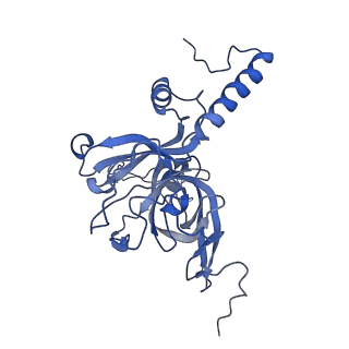 11279_6zm6_E_v2-0
Human mitochondrial ribosome in complex with mRNA, A/A tRNA and P/P tRNA