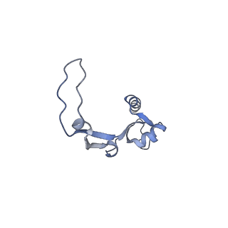 11279_6zm6_H_v1-1
Human mitochondrial ribosome in complex with mRNA, A/A tRNA and P/P tRNA