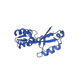 11279_6zm6_J_v1-1
Human mitochondrial ribosome in complex with mRNA, A/A tRNA and P/P tRNA