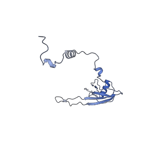 11279_6zm6_U_v1-1
Human mitochondrial ribosome in complex with mRNA, A/A tRNA and P/P tRNA