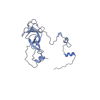 11279_6zm6_V_v1-1
Human mitochondrial ribosome in complex with mRNA, A/A tRNA and P/P tRNA