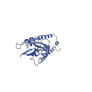 11279_6zm6_e_v1-1
Human mitochondrial ribosome in complex with mRNA, A/A tRNA and P/P tRNA